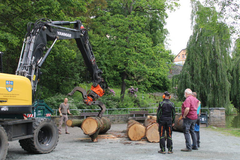 Vorbereitungen zum Holzbildhauersymposium